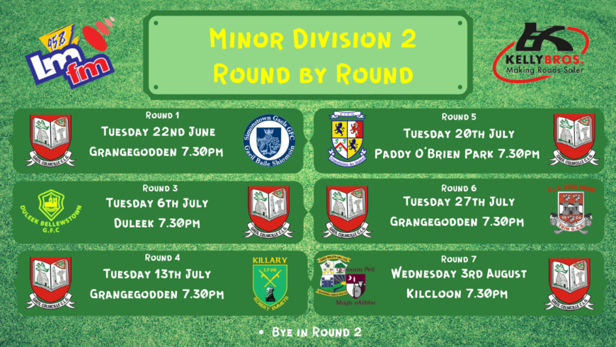 Division 2 for Gaeil Colmcille Minors