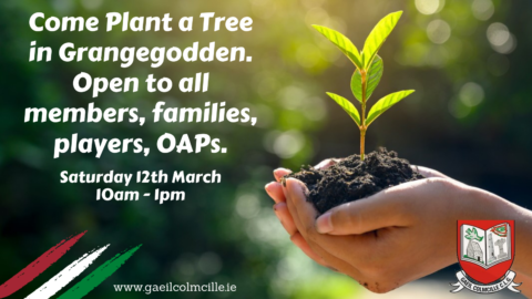 Tree Planting In Grangegodden