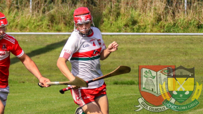 Meath MHC: Gaeil Colmcille/Loughcrew Gaels 1-13 Donaghmore/Ashbourne 1-05