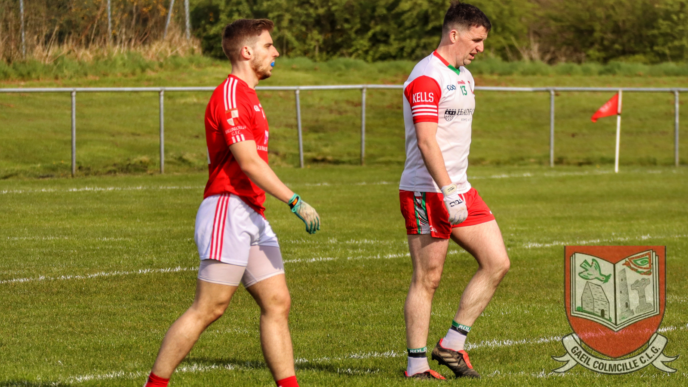 AFL D7: Rathkenny 3-06 Gaeil Colmcille 2-13