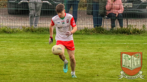 U19 D2 Champ SF: Gaeil Colmcille 2-15 Trim 0-04