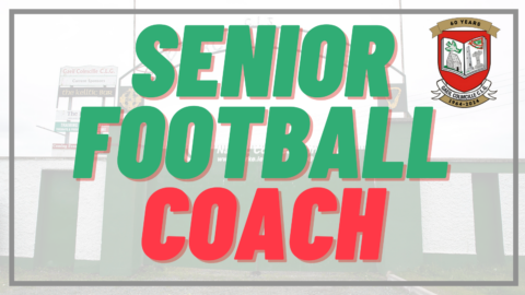 Senior Football Coach Position