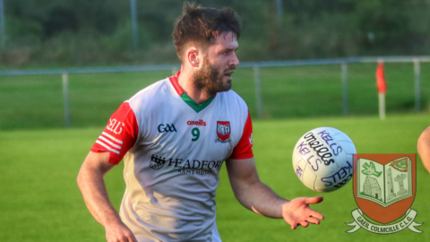 A League D1: Gaeil Colmcille 0-15 Ratoath 4-13