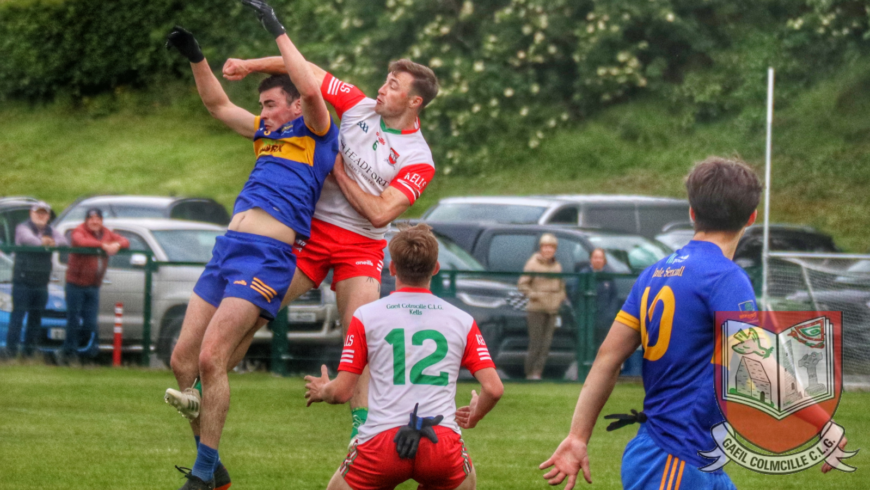 A League D1: Seneschalstown 0-11 Gaeil Colmcille 0-16