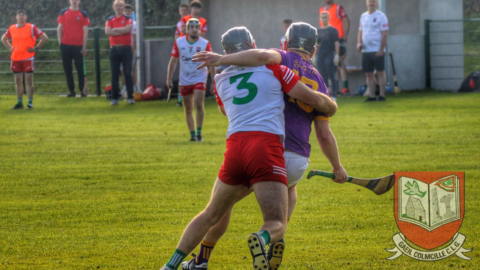 Meath IHC: Gaeil Colmcille 3-06 Wolfe Tones 1-07